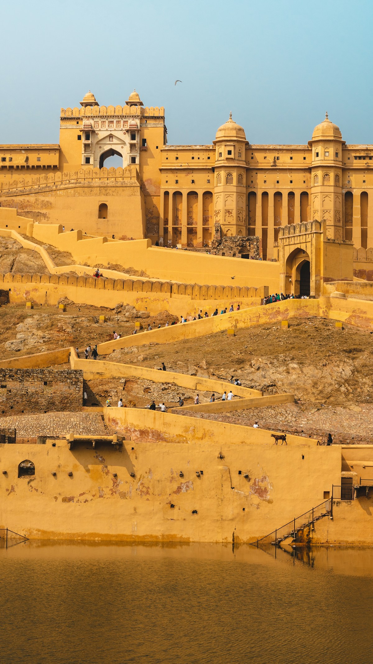 Amer Fort overlooking Maota Lake in Jaipur, Rajasthan